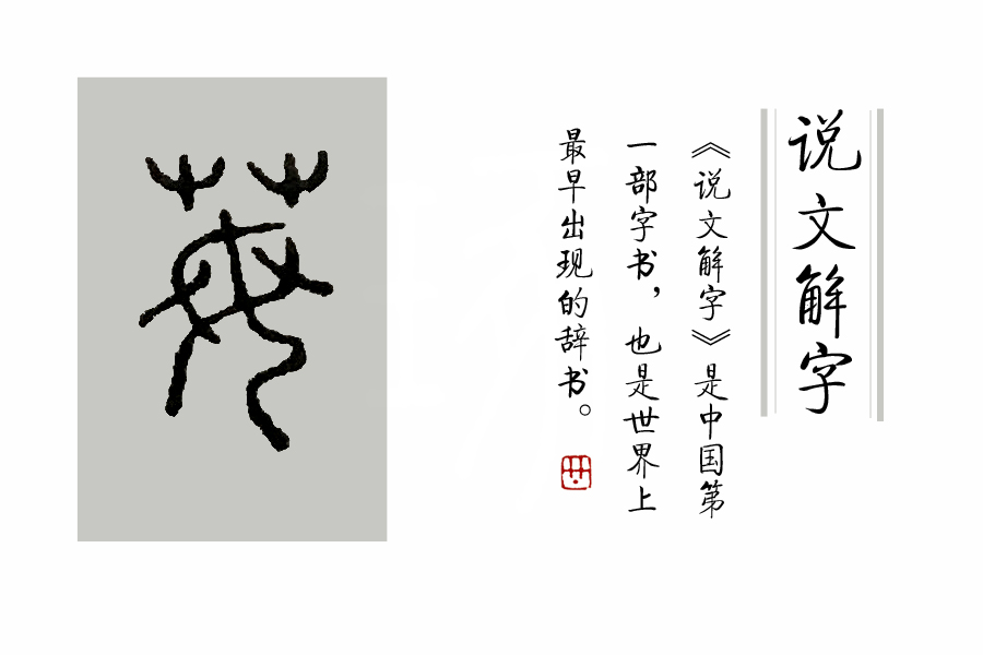 说文解字第222课,说文解字第297课