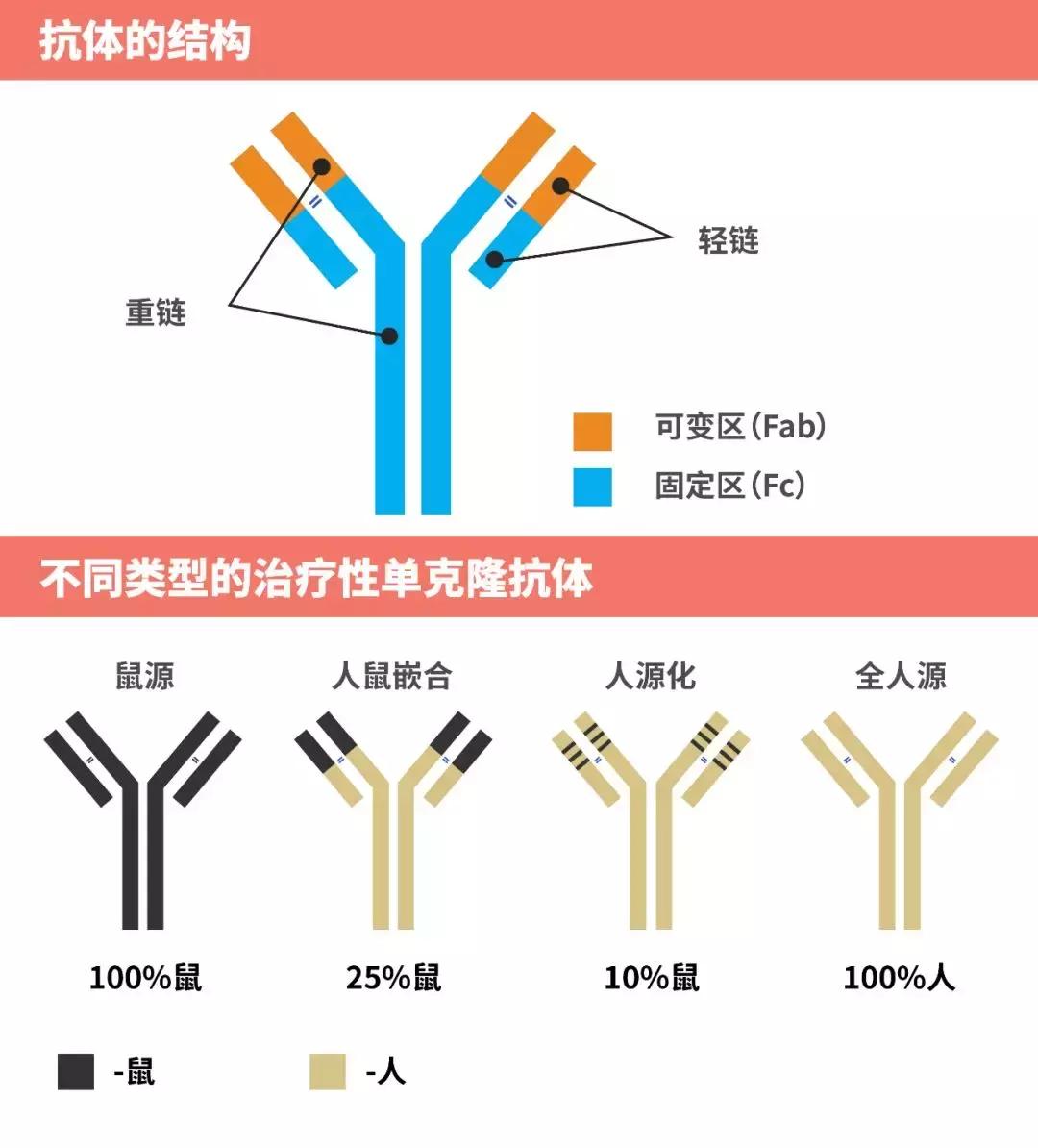 中国癌症治疗最新突破,抗癌新药pd-1是哪国发明的
