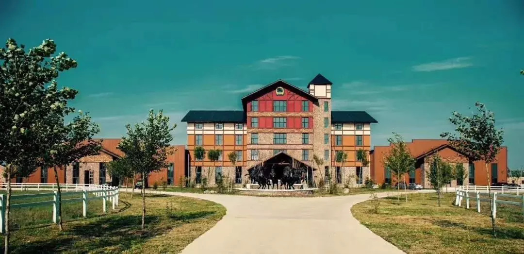 家有美景来欣赏何必外出看风景,家有美景何必远方