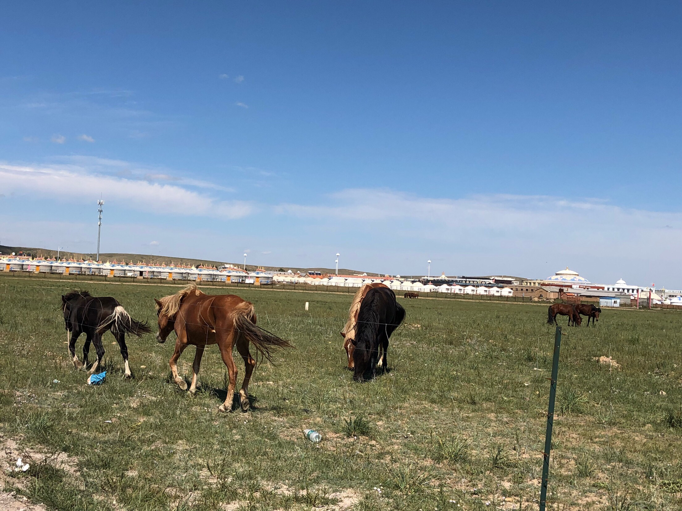 内蒙希拉穆仁草原好玩,包头希拉穆仁草原风景