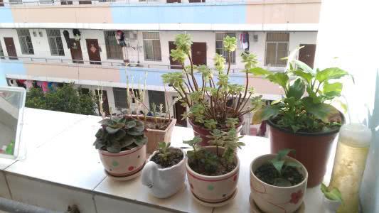 大学宿舍生活日常女孩,女生大学宿舍生活真实