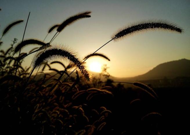 结婚后老公总是对自己发脾气,老公脾气不好婚后怎么办