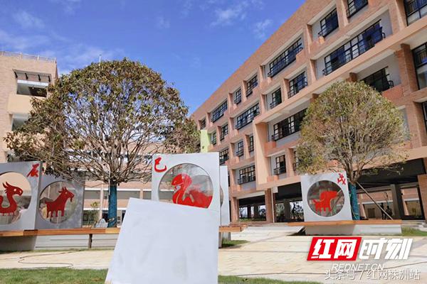 湖南株洲小学开学,株洲荷塘区比较好的小学