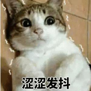 gucci钱包真假鉴定,gucci钱包真假鉴定图解