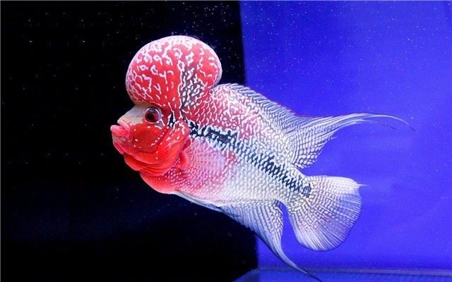 这些事千万不要做,这些事情千万不要做