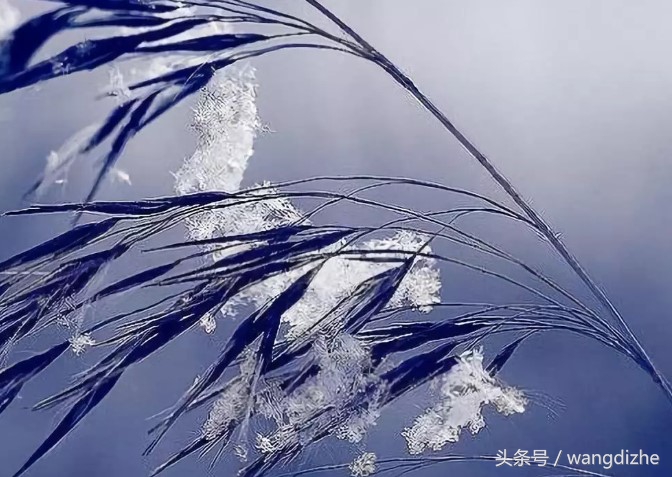 对投资的理解和感悟,对投资现状的一些思考和规划