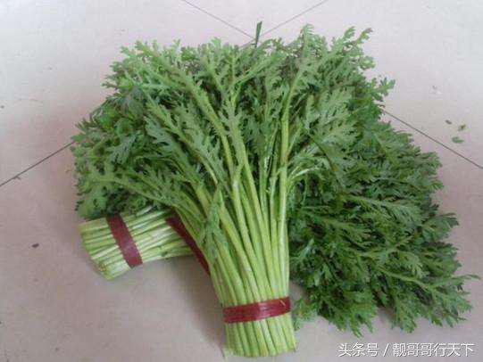 十大百吃不厌的蔬菜,很多人不喜欢吃的十种蔬菜