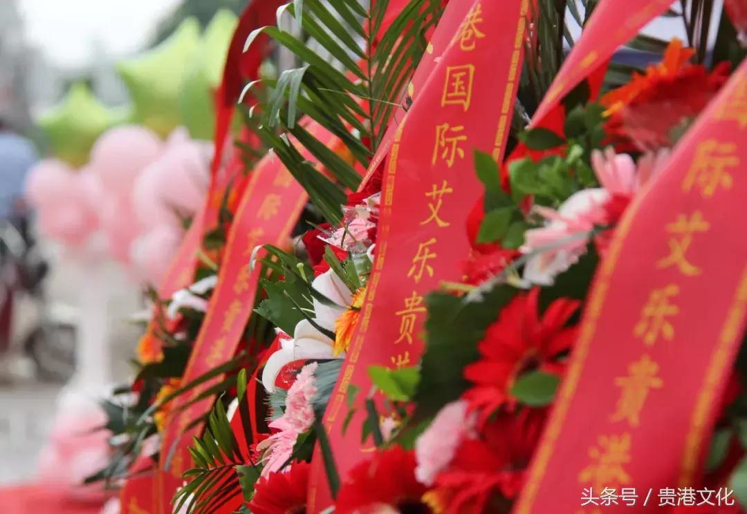 合浦县艾乐国际幼儿园,贵港香港艾乐国际幼儿园