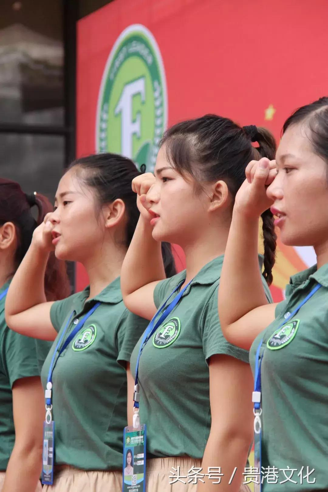 广西贵港艾乐国际幼儿园正式开园啦!