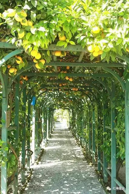 意大利天赐恩赐,意大利所有景物