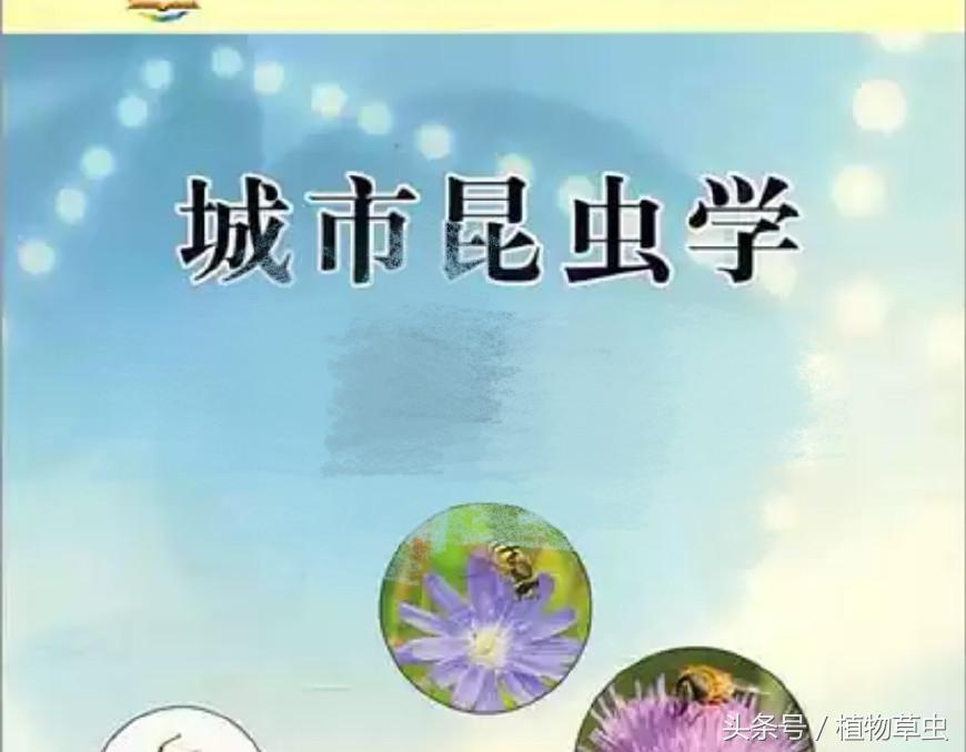 植物绿化知识,了解植物养护植物