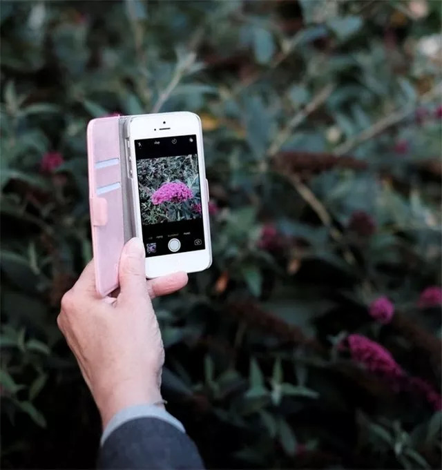 发黄变脏的手机壳不要丢，裹上鸡蛋液和面包糠……