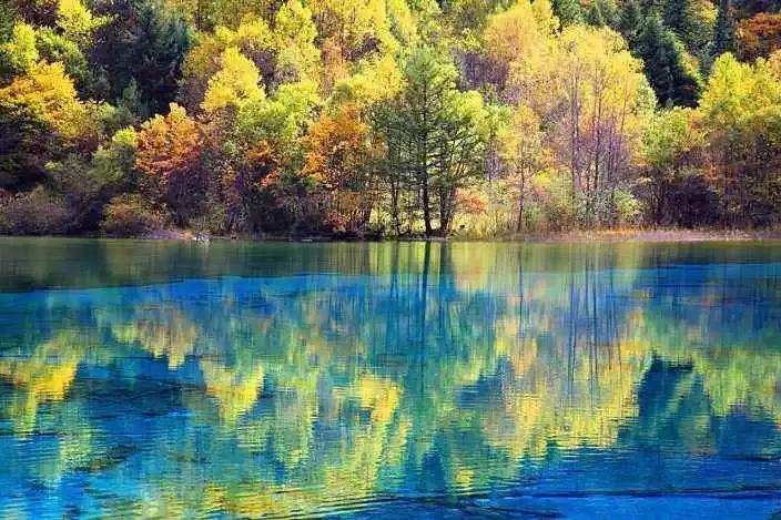 四川秋景第一名,四川欣赏秋景好去处