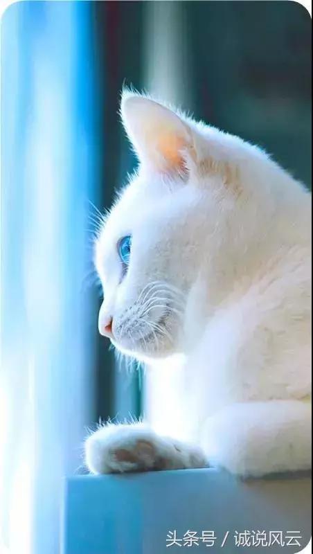 在这个浮躁的时代学会安静和独处,在浮躁的时代里静下心来修炼自己