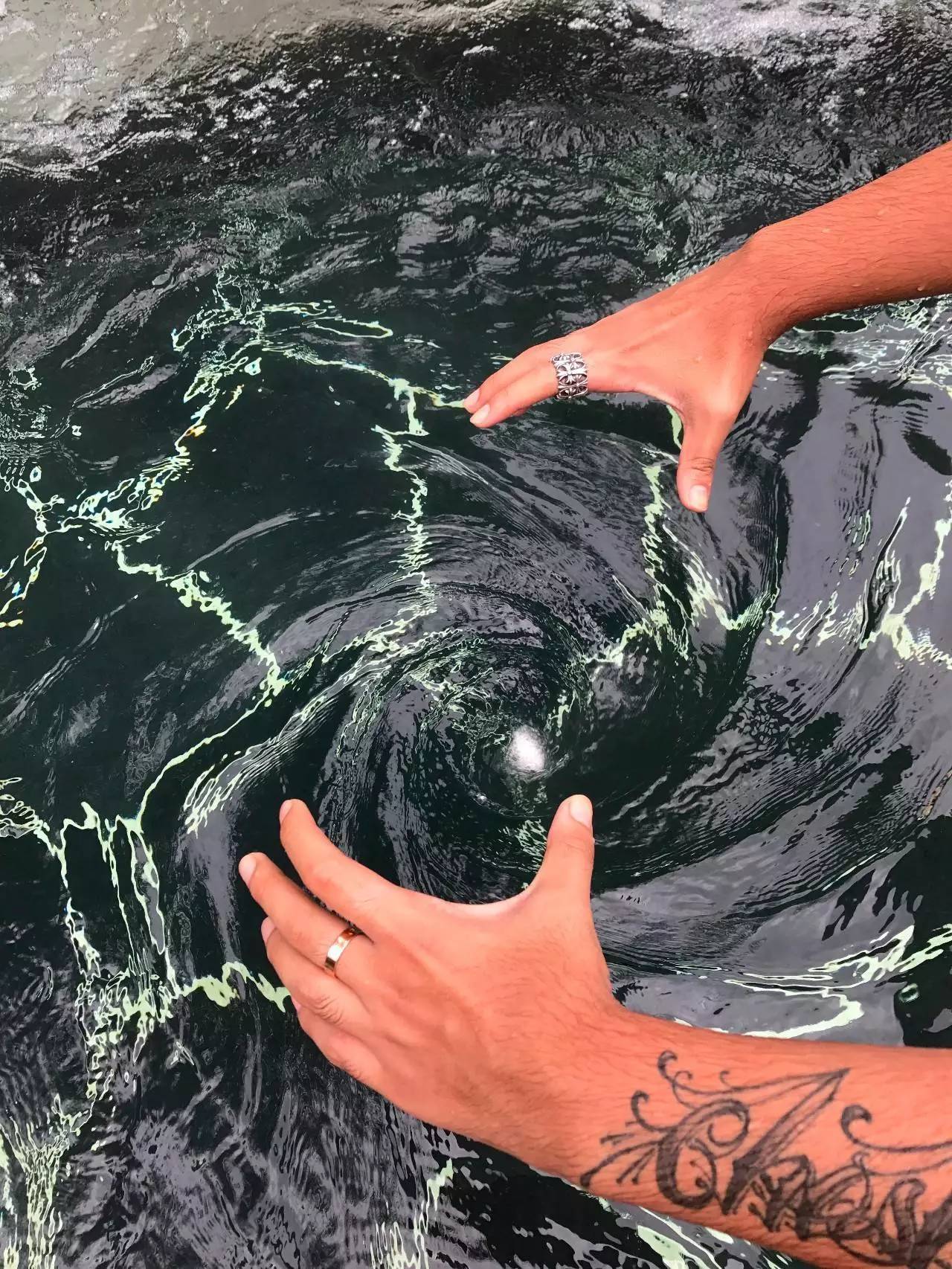 腾冲的一年四季,在云南腾冲的大山里