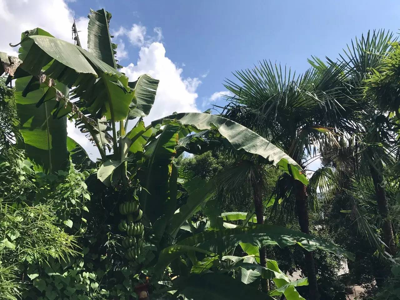 腾冲的一年四季,在云南腾冲的大山里