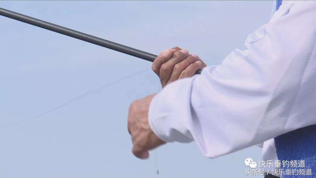 秋季水库夜钓草鱼怎样钓效果最好,秋季草鱼晚上钓底还是钓浮