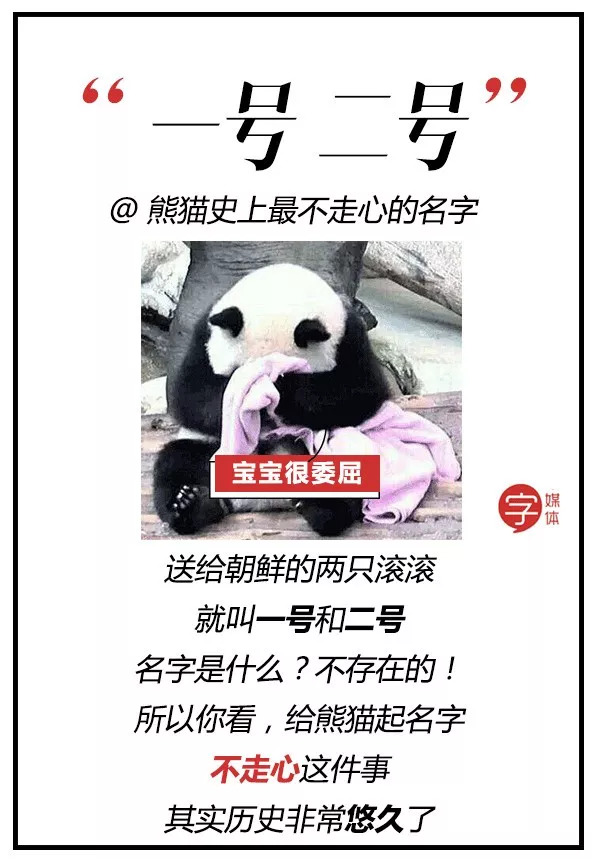 每一只可爱滚滚的背后,都有一群起名字不靠谱的人!