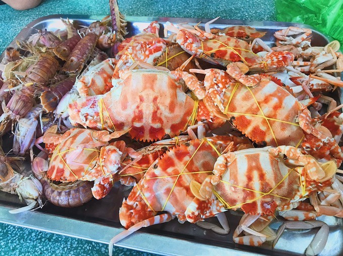 越南由南到北旅游方式,5000元越南8天7晚旅行全攻略