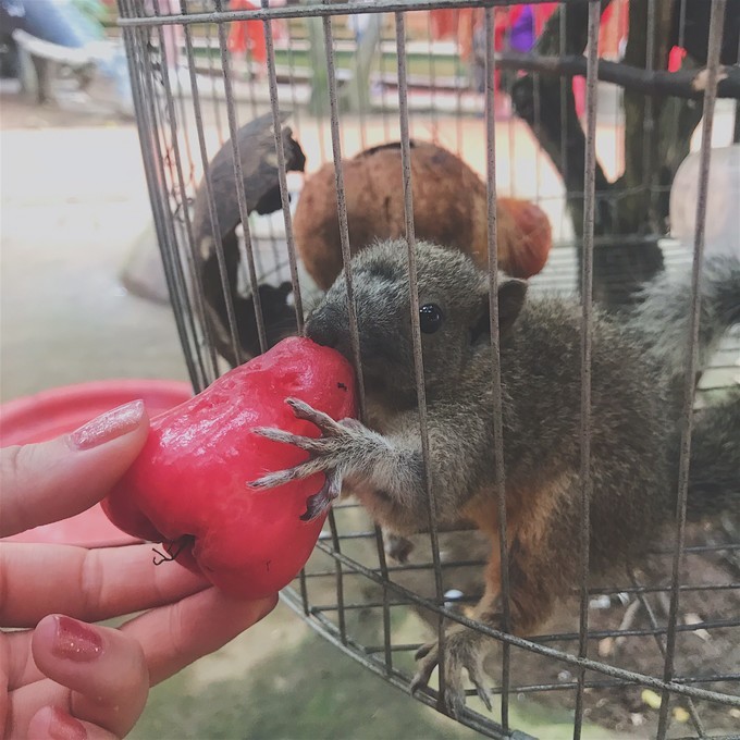 越南由南到北旅游方式,5000元越南8天7晚旅行全攻略