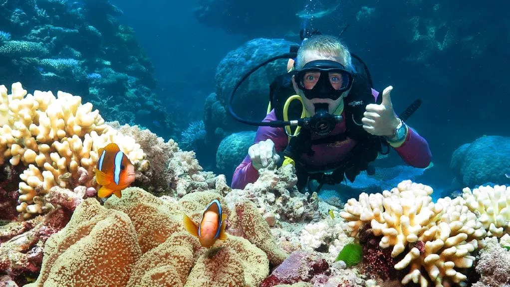 澳大利亚和新西兰旅行哪个贵,澳大利亚和新西兰怎么玩