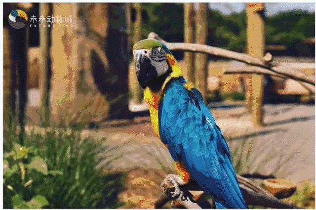 实拍大悦城！傲娇小公举“Molly”带你揭秘！