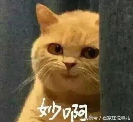 河北石家庄九价新消息,近日石家庄大量车型降价