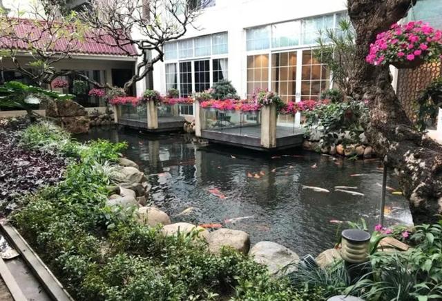 寻味顺德美食背后的文化,佛山美食井寻味顺德