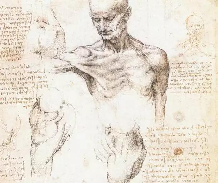 交大博士夫妻狂怼郭德纲不专业，郭德纲这样回应……