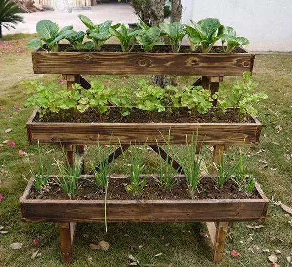 打造小菜园怎么种菜好看,自制阳台立体小菜园