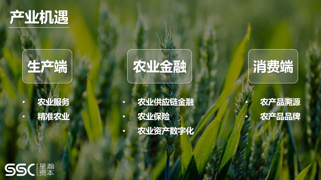 投资人告诫农业创业者：创业应该找到价值和壁垒，否则很难融到钱