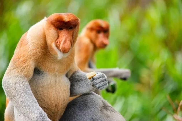 又挖到一个小众旅游的宝地美到哭,又挖到一座小众绝美海岛