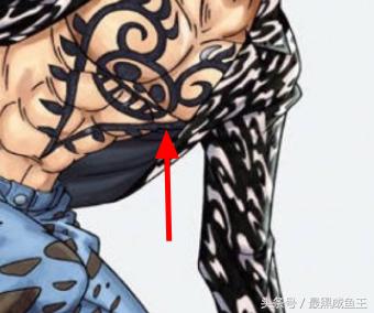 海贼王0-200剧情,海贼王的100个细节