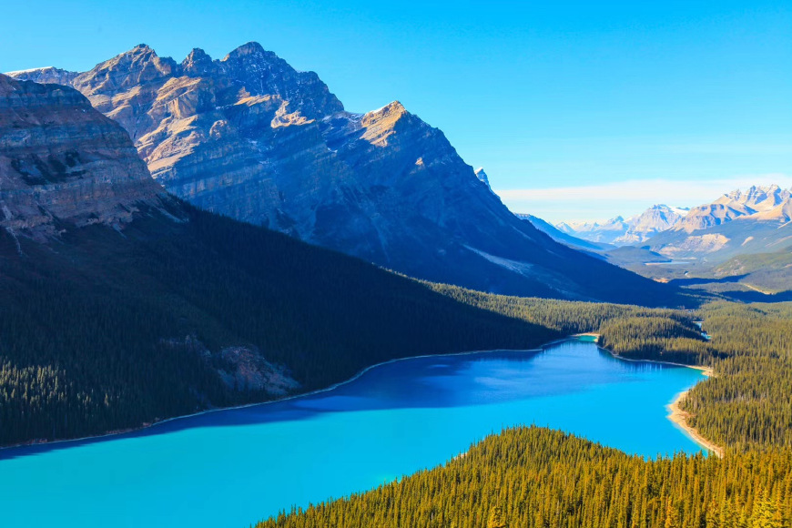 新西兰签证办理流程图片高清大图,新西兰网签费用多少钱