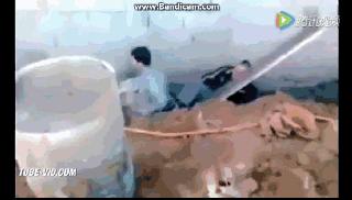 高处作业常见的违章有哪些,高处作业的11条严重违章操作