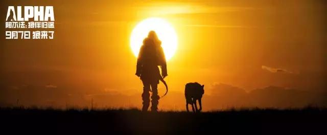 九月上映的电影哪些值得看,九月新片电影推荐