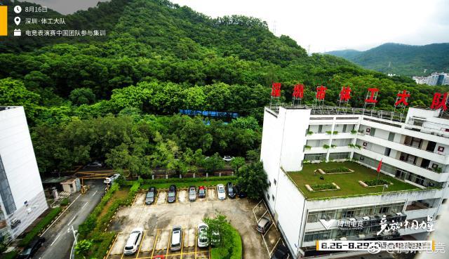 亚运会中国电竞队纪录片,电竞冠军的故事