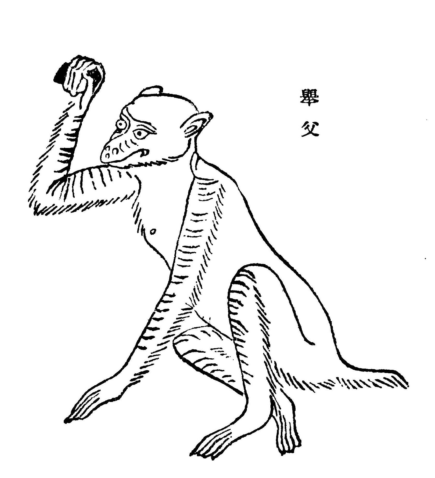 讲解山海经,图解山海经之南山三经