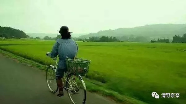 去霓虹国旅游攻略,日本旅游攻略霓虹