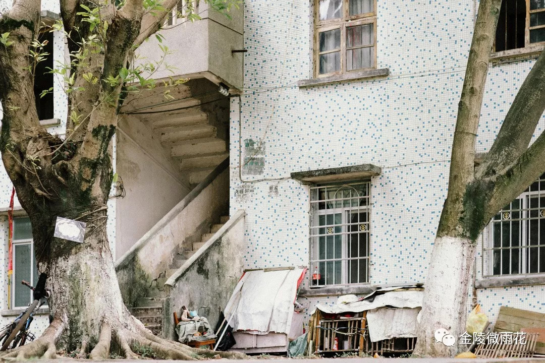 智领未来，“雨花软件”怒放创新名城