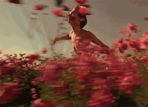 3.8放假通知老师放假吗,中小学放假通知大学放假时间