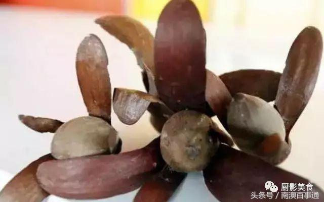 汕头南澳金钱鮸,最贵鮸鱼