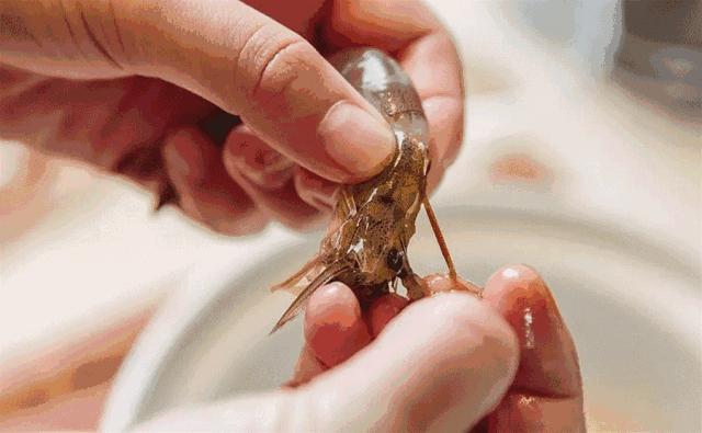 泡大虾最好吃的5种做法,大虾又鲜又甜又弹