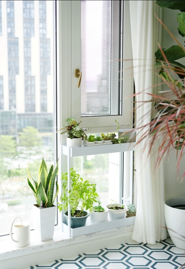 喜刷刷，喜刷刷，嗷呜……油漆刷的我脑壳疼呀脑壳疼