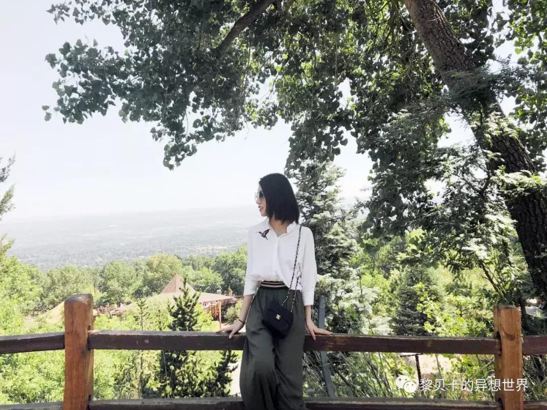 如果这辈子只能选3辆车你选哪3辆,假如这辈子只能买一只包