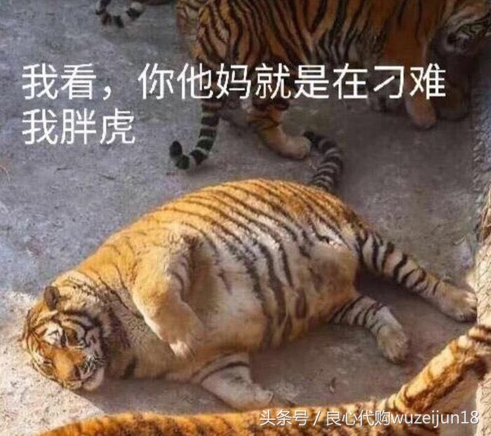 实力称霸——9月份6双AJ称霸！