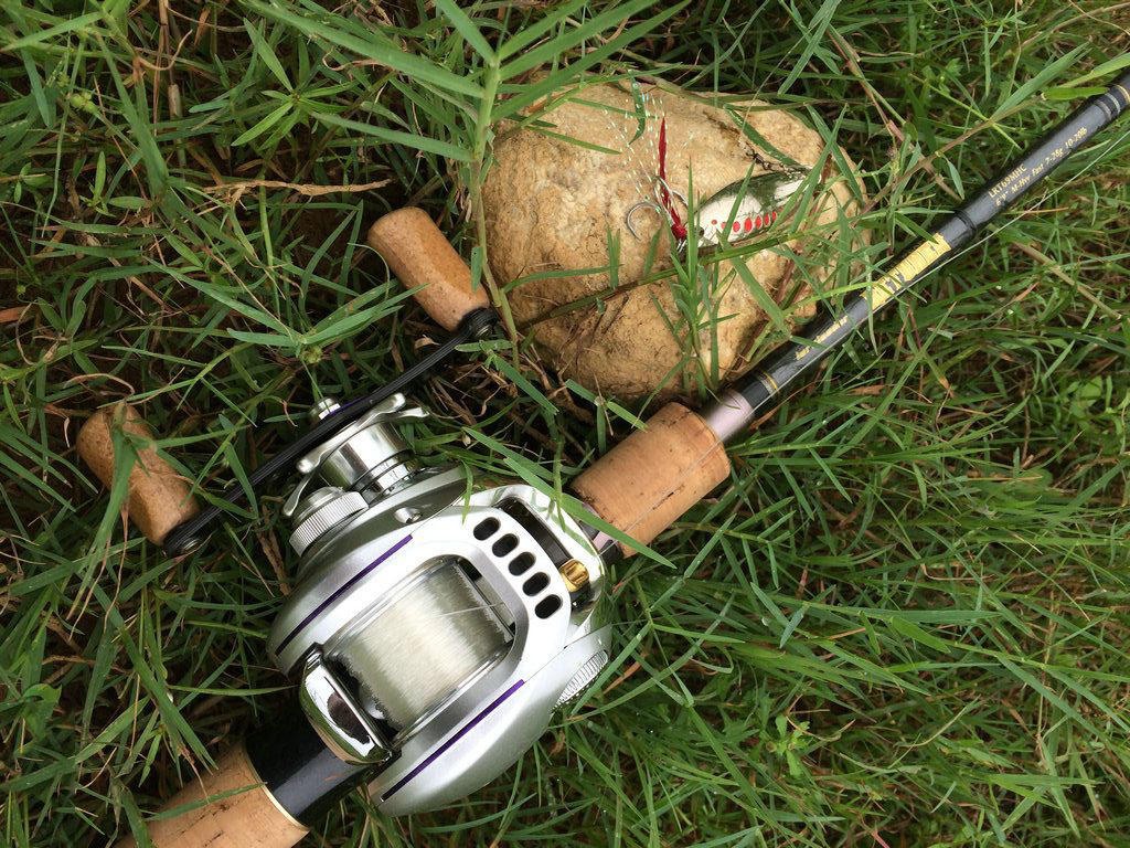 此鱼游泳迅速，行动敏捷，被广大钓友称为“水老虎”