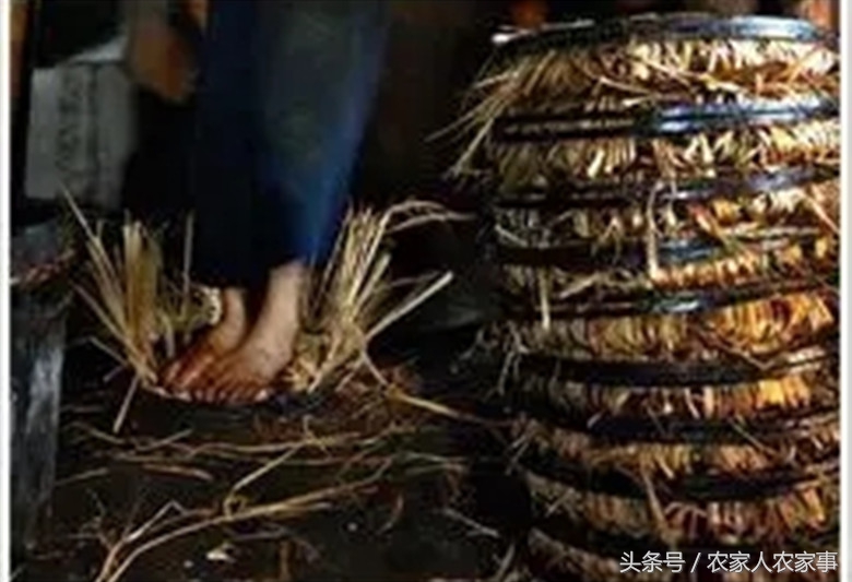 探访赣南传统手工榨‘’木梓油‘’（茶油）的工艺流程