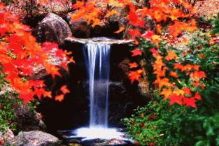 三人行︱梦一场城下作画