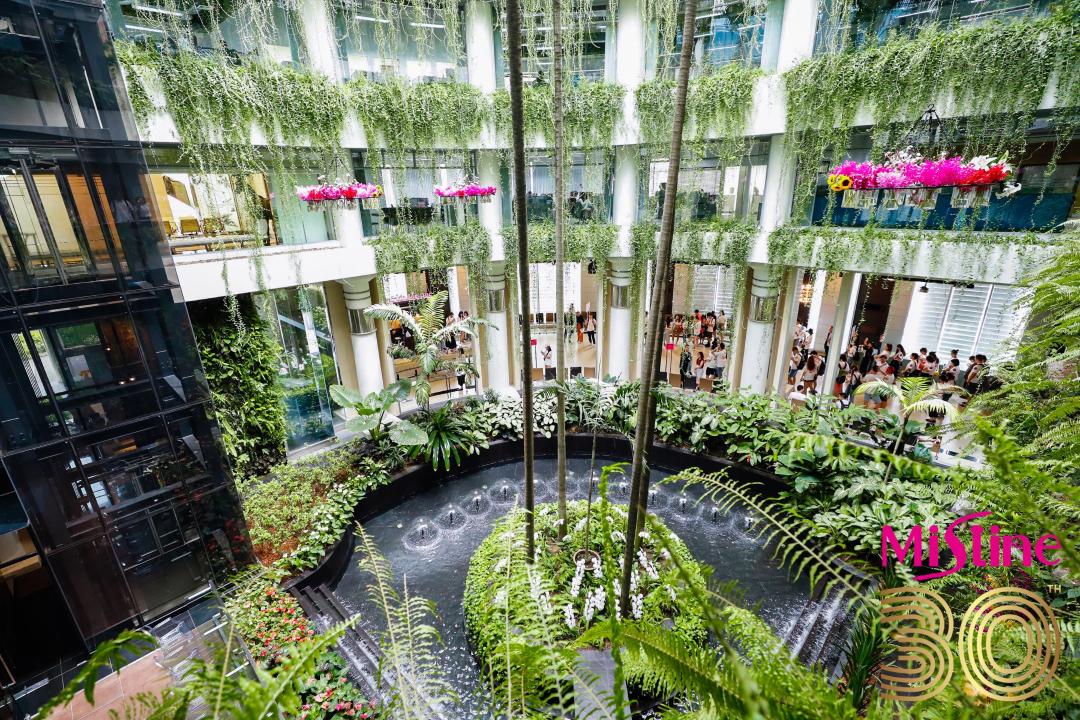 mistine必买的产品,mistine必买产品